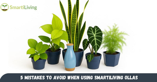 5 Mistakes to Avoid When Using Smartiliving Ollas