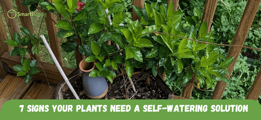 7 Signs Your Plants Need a Self-Watering Solution - Smartiliving
