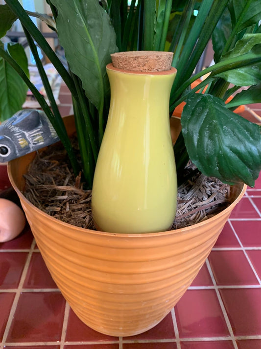 Terracotta Watering Spikes: SmartiLiving’s Ultimate Self-Watering Solution