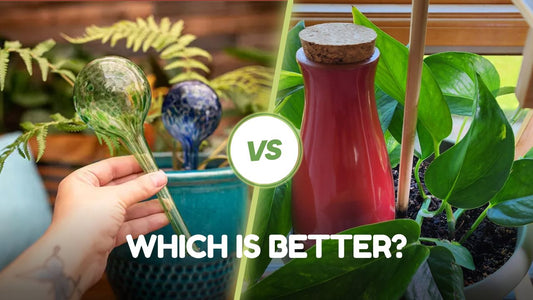 Glass Watering Bulbs vs. Self-Watering Spikes – Which is Better? - SmartiLiving