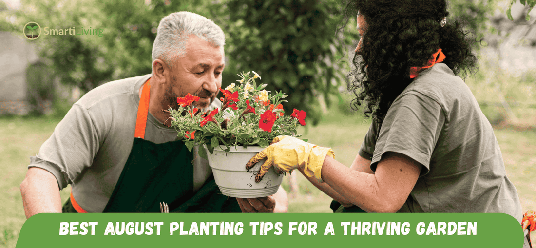 Best August Planting Tips for a Thriving Garden - SmartiLiving