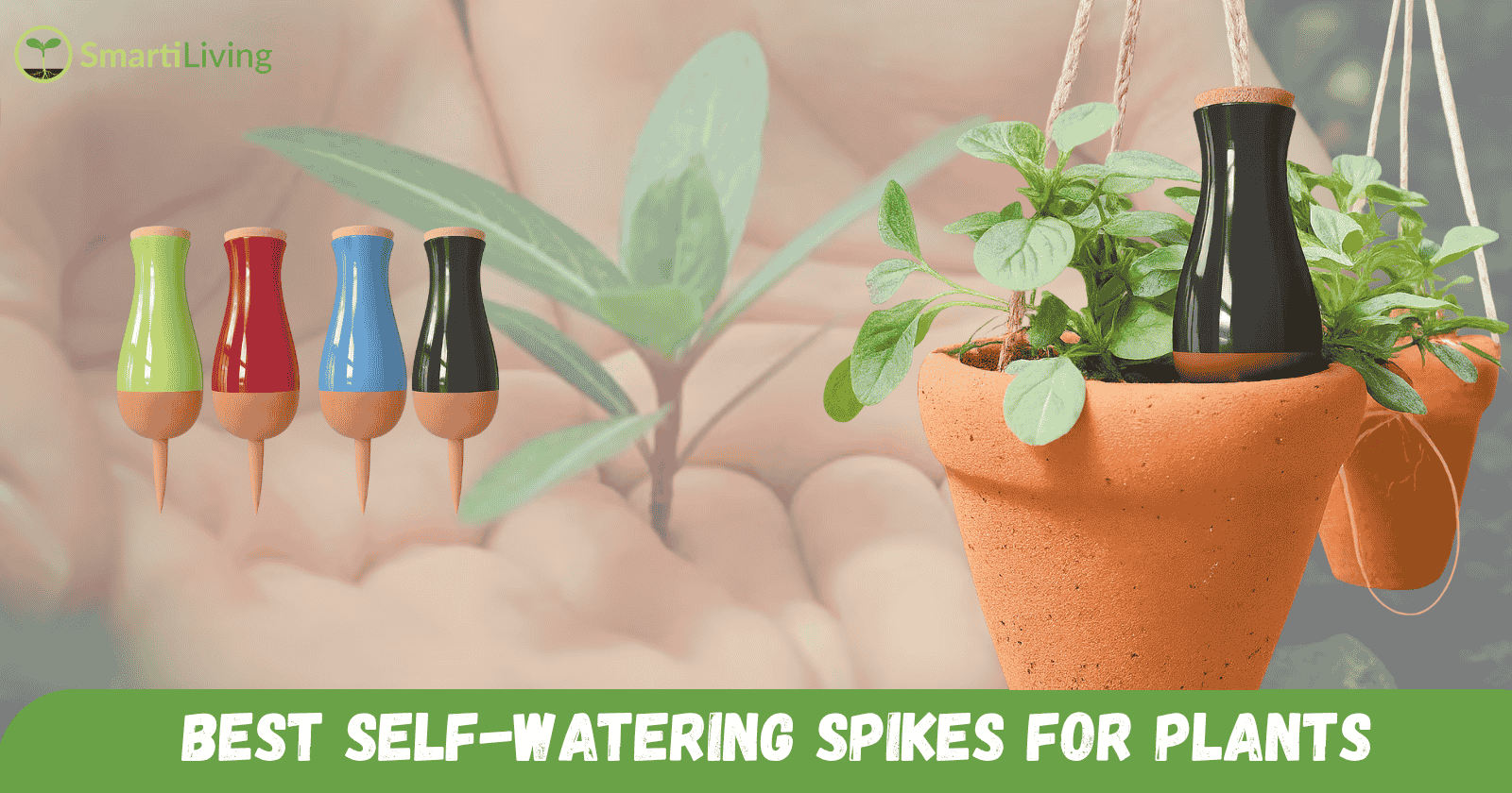 最佳自动浇水钉 | 毫不费力地为植物补水