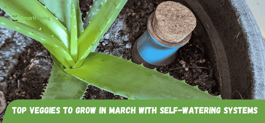 Best Vegetables to Start Growing with Self-Watering Systems - SmartiLiving