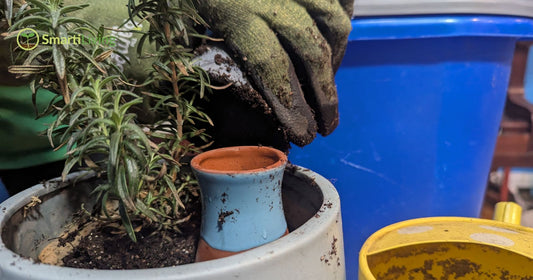 Mother’s Day Gardening Gifts: The Best Plant Watering Systems for Mom