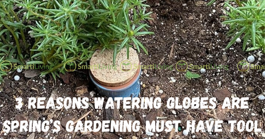 3 Reasons Watering Globes Are Spring’s Gardening Must Have Tool - SmartiLiving