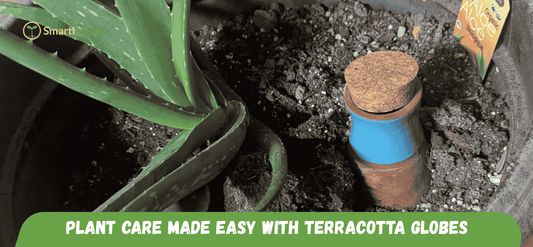 🍂 Fall Plant Care Made Easy with Terracotta Self-Watering Globes - SmartiLiing
