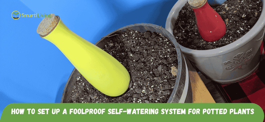 How to Set Up a Foolproof Self-Watering System for Potted Plants - SmartiLiving