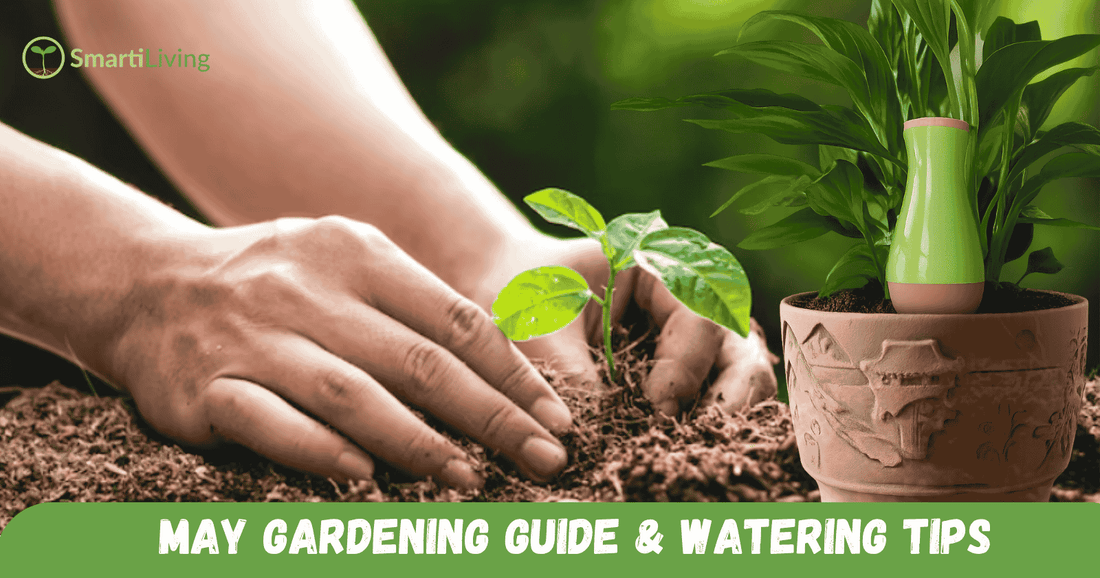 May Gardening Guide: Best Planting & Watering Tips - SmartiLiving