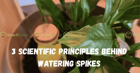 3 Scientific Principles Behind Watering Spikes - SmartiLiving