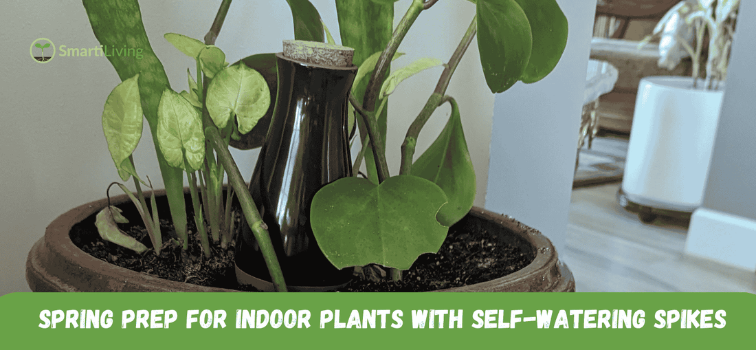 A collection of indoor plants in modern pots, including Peace Lilies and Spider Plants, with self-watering spikes visible in the soil, demonstrating an easy watering solution for indoor plant care.