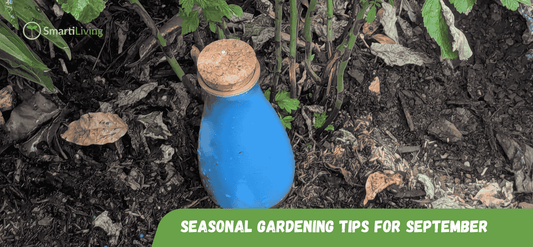 Seasonal Gardening Tips for September - SmartiLiving