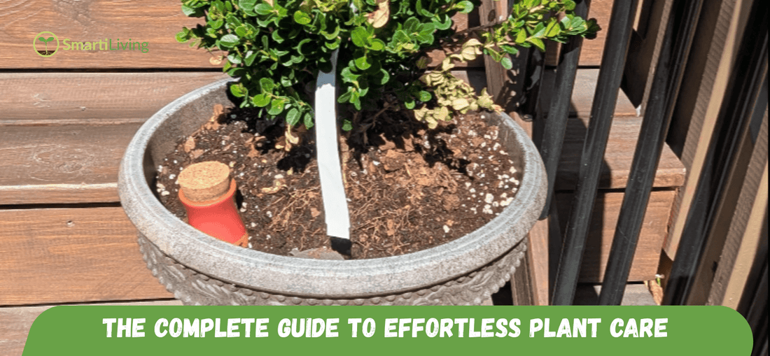 The Complete Guide to Effortless Plant Care - SmartiLiving