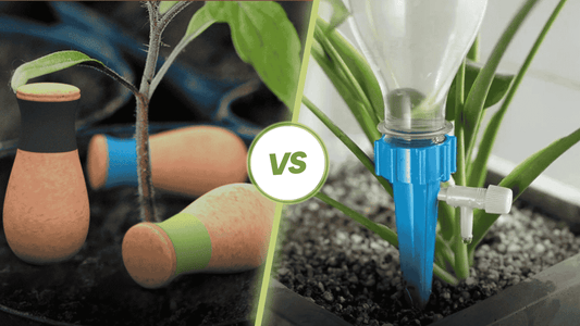 SmartiLiving Ollas vs. Cheap Watering Spikes: Which Works Best?