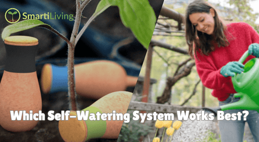 SmartiLiving Ollas vs. Knockoff Watering Spikes: Which Self-Watering System Works Best?