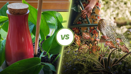 Smartiliving Ollas vs. Traditional Watering: A Data-Driven Comparison