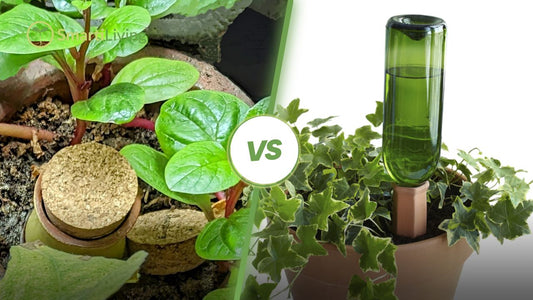 SmartiLiving Ollas vs. Wine Bottle Spikes: Which is More Reliable?