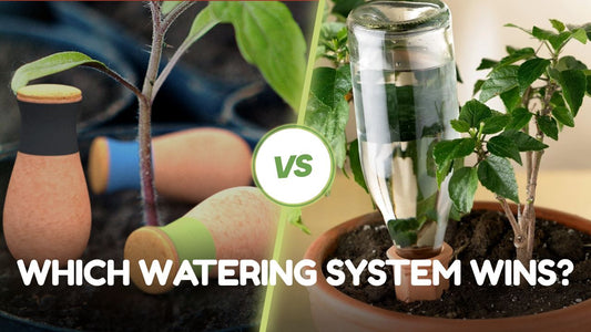 SmartiLiving Ollas vs. Wine Bottle Spikes: Which Watering System Wins?