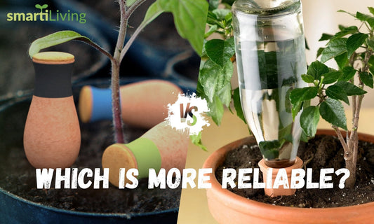Smarti Living Ollas vs. Wine Bottle Spikes: Which is More Reliable?