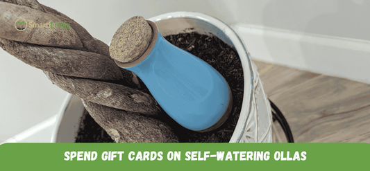 terracotta watering spikes - Smarti Living