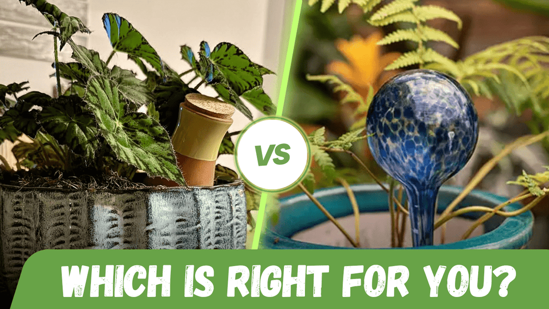 Glass watering bulb vs. terracotta olla in potted plants | SmartiLiving