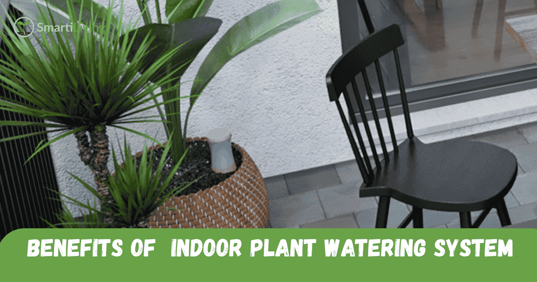 The Benefits of Using an Indoor Plant Watering System for Gardening - SmartiLiving