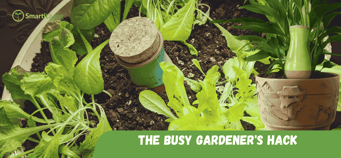 3 Reasons Watering Globes Are Spring’s Gardening Must Have Tool - SmartiLiving