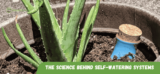 How Self-Watering Systems Work - SmartiLiving