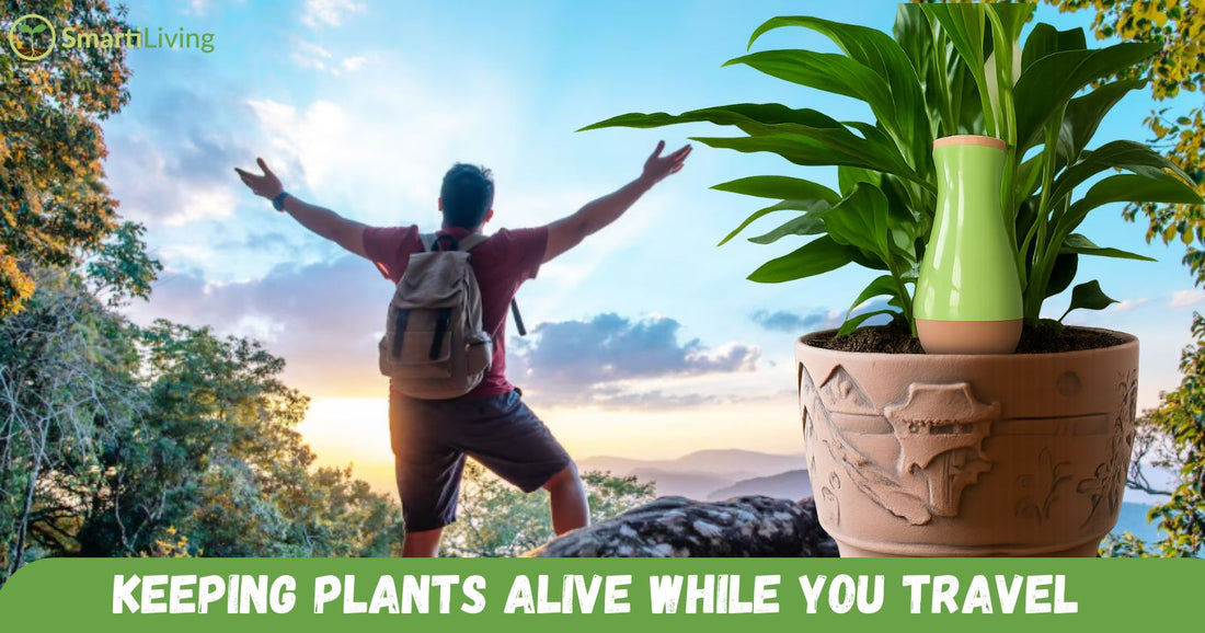 The Ultimate Guide to Keeping Plants Alive While You Travel Terracotta Watering Ollas - SmartiLiving