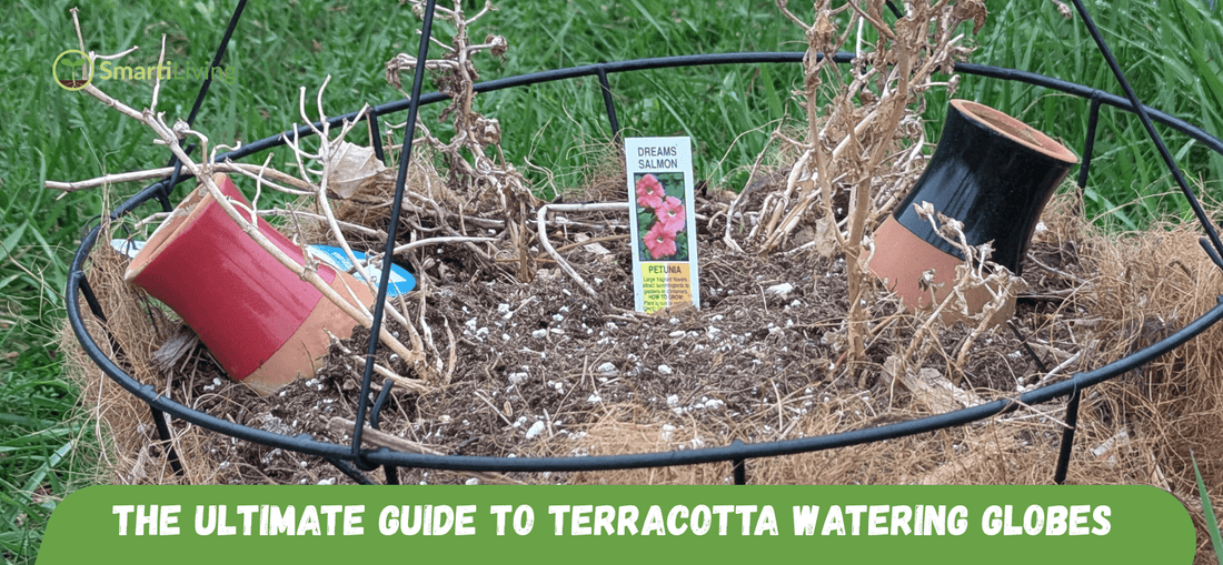 The Ultimate Guide to Terracotta Watering Globes: SmartiLiving