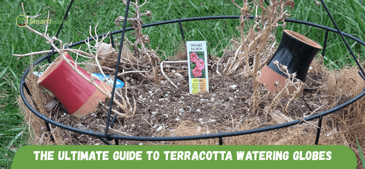 The Ultimate Guide to Terracotta Watering Globes: SmartiLiving