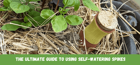 The Ultimate Guide to Using Self-Watering Spikes for Memorial Day Travel - SmartiLiving