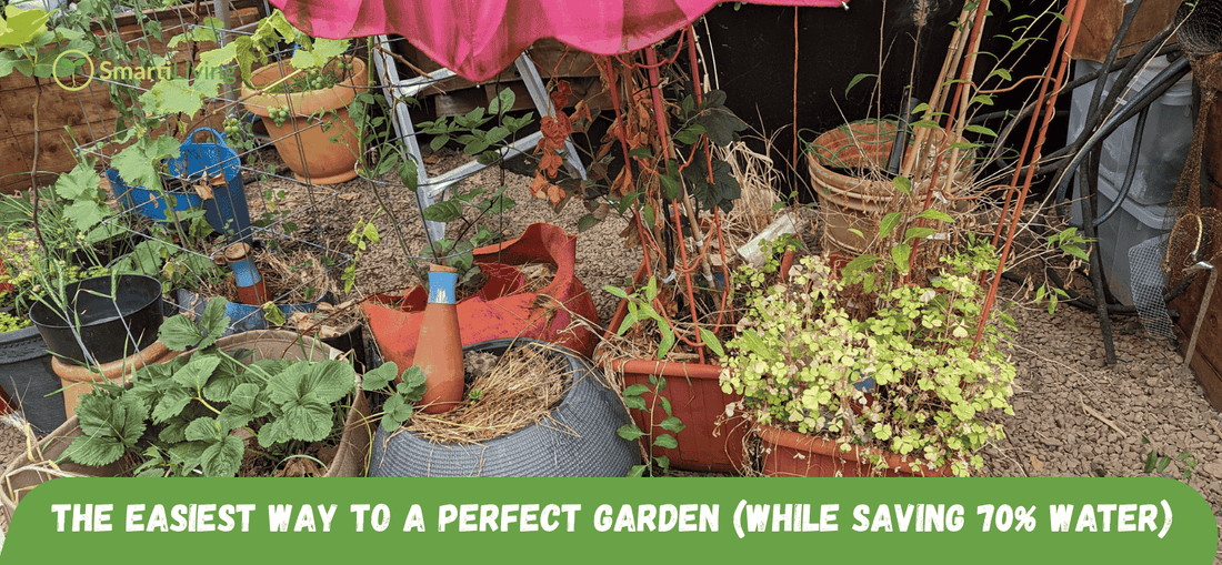 The Easiest Way to a Perfect Garden (While Saving 70% Water) - SmartiLiving