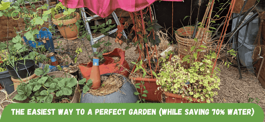 The Easiest Way to a Perfect Garden (While Saving 70% Water) - SmartiLiving