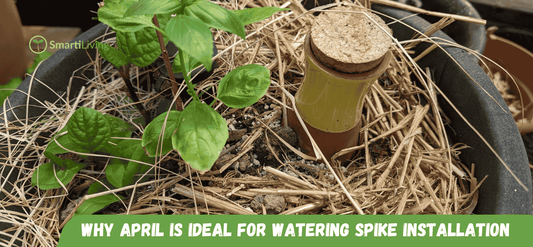 Why April is the Ideal Month to Install Outdoor Watering Spikes - SmartiLiving