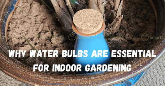 Why Plant Watering Globes Are Essential for Indoor Gardening - Smartiliving