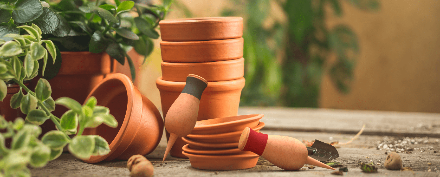Keep Your Plants Thriving with Our Self Watering System - smartiliving