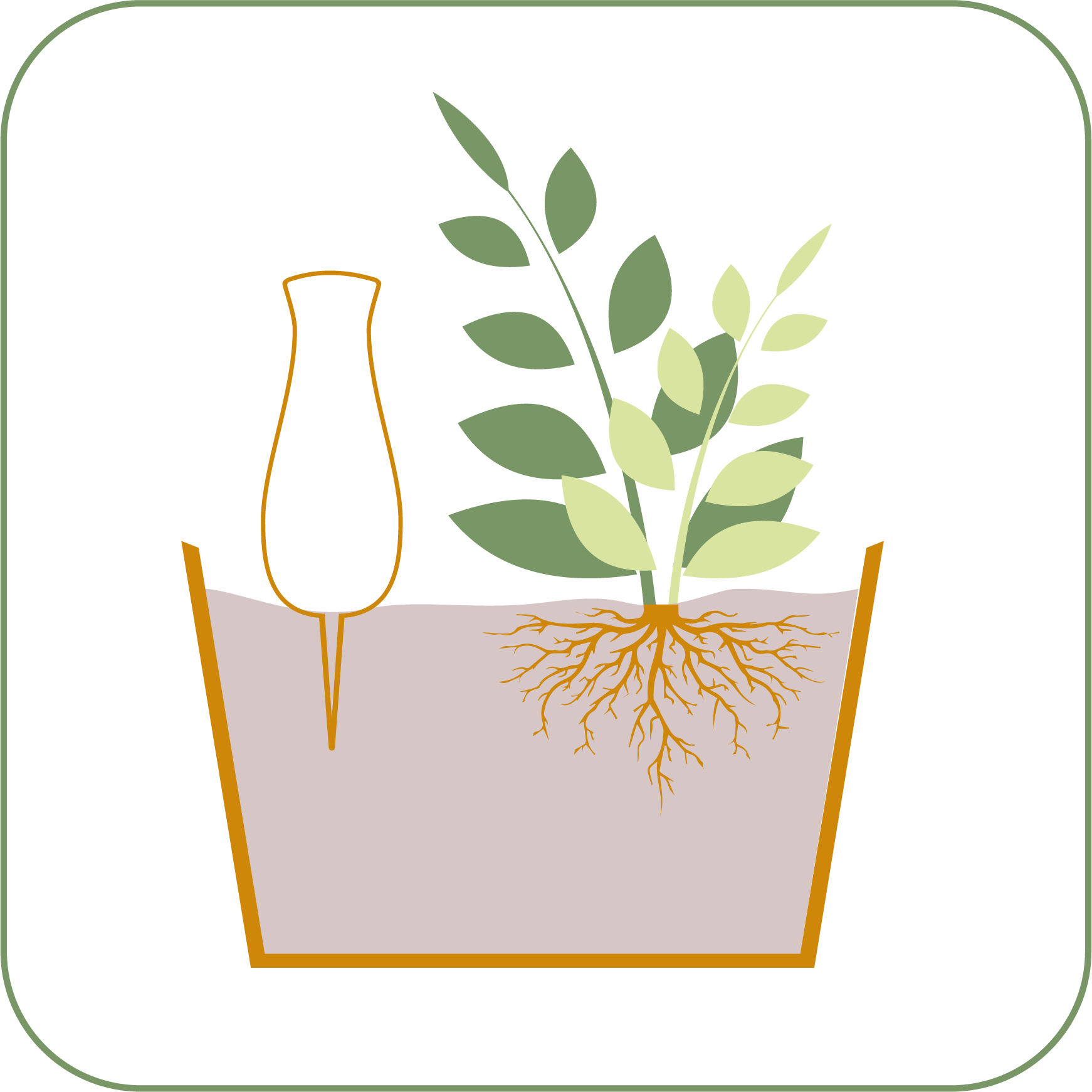 Show case a design of smartiliving ollas with plant in pot