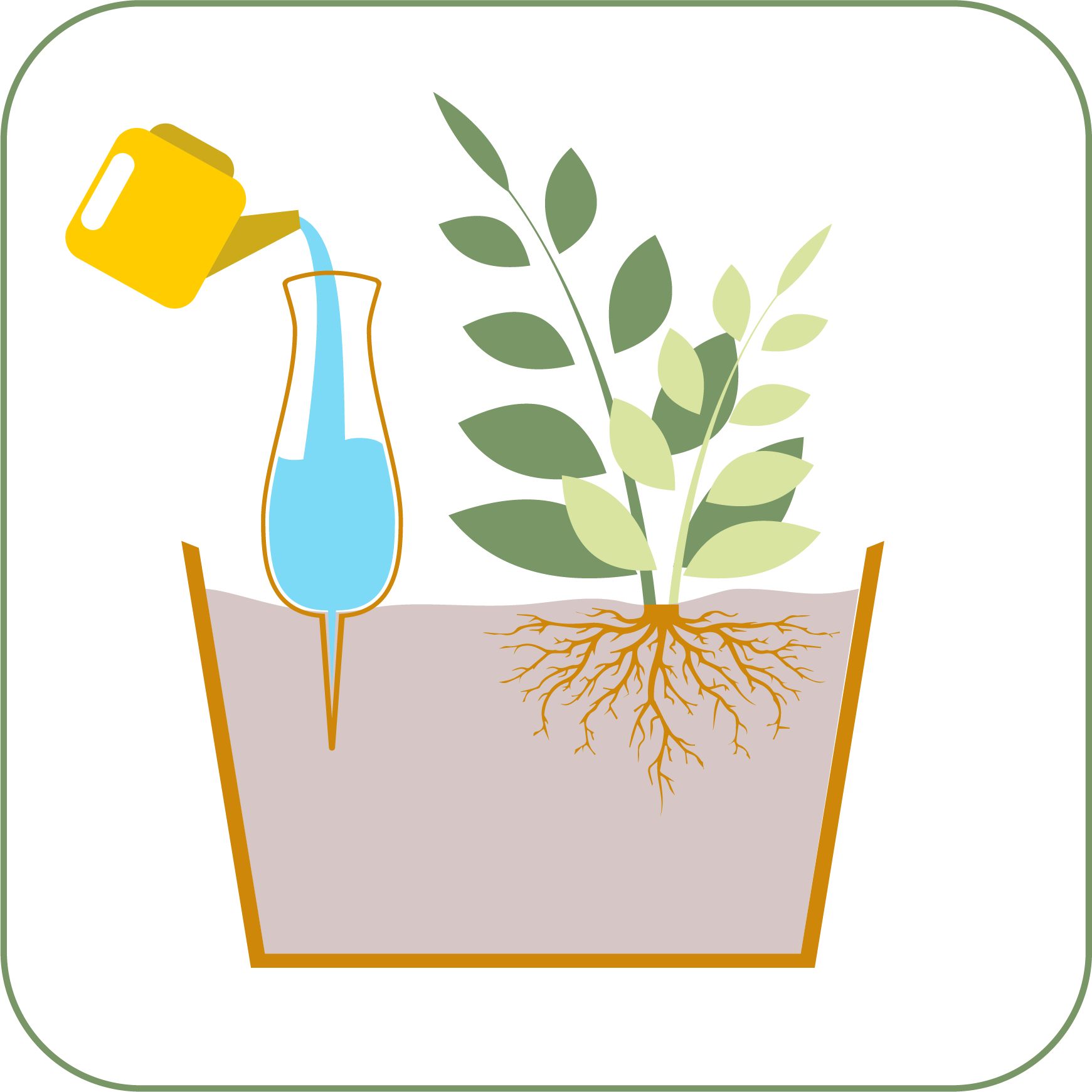 Ollas watering and Plant in the pot - SmartiLiving