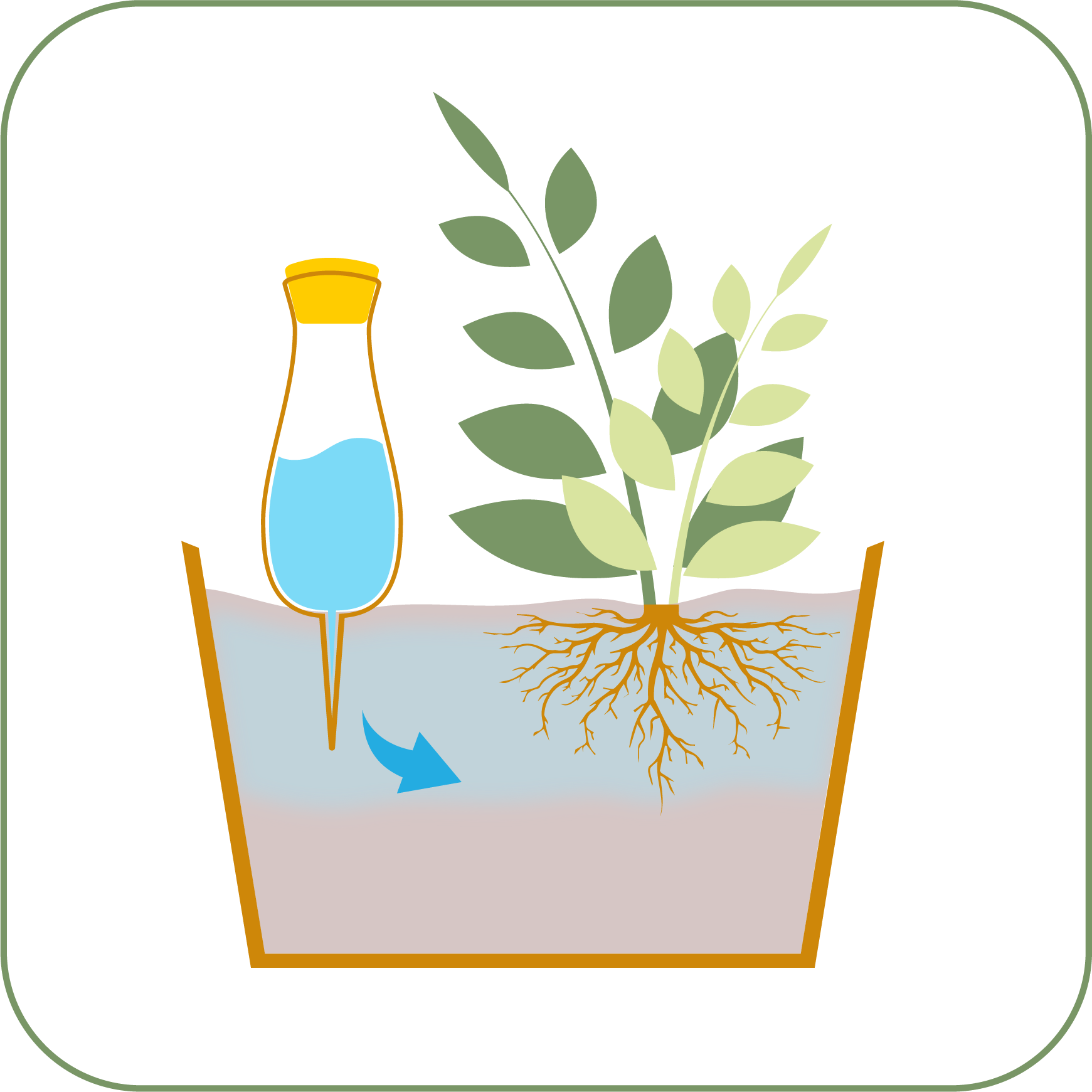 SmartiLiving ollas with plant in the pot