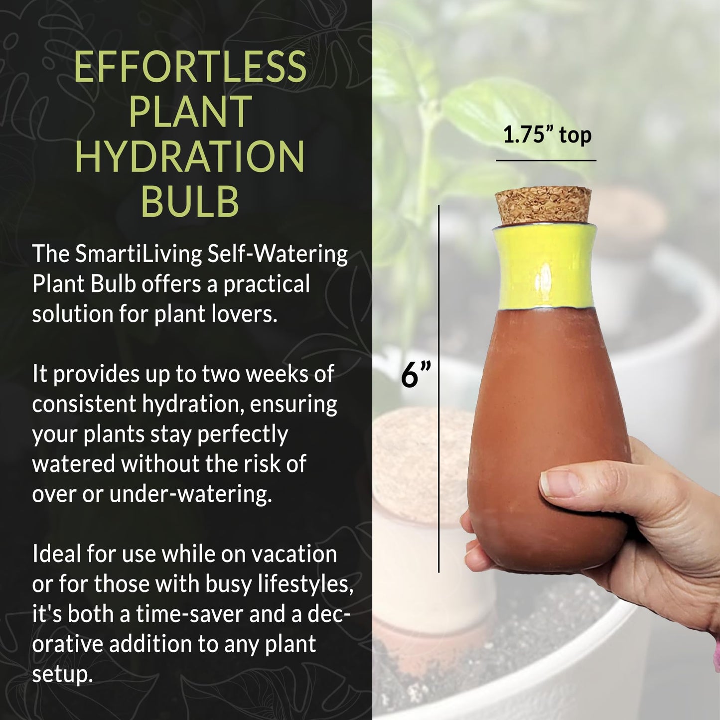 Terracotta Self Watering Planter Insert Kit,4 Plant Watering Globes & 4 Colorful Drip Stakes, Plant Watering Devices Combo that Keep your Plants Healthy & Hydrated(Black, Red, Blue, Yellow, White)