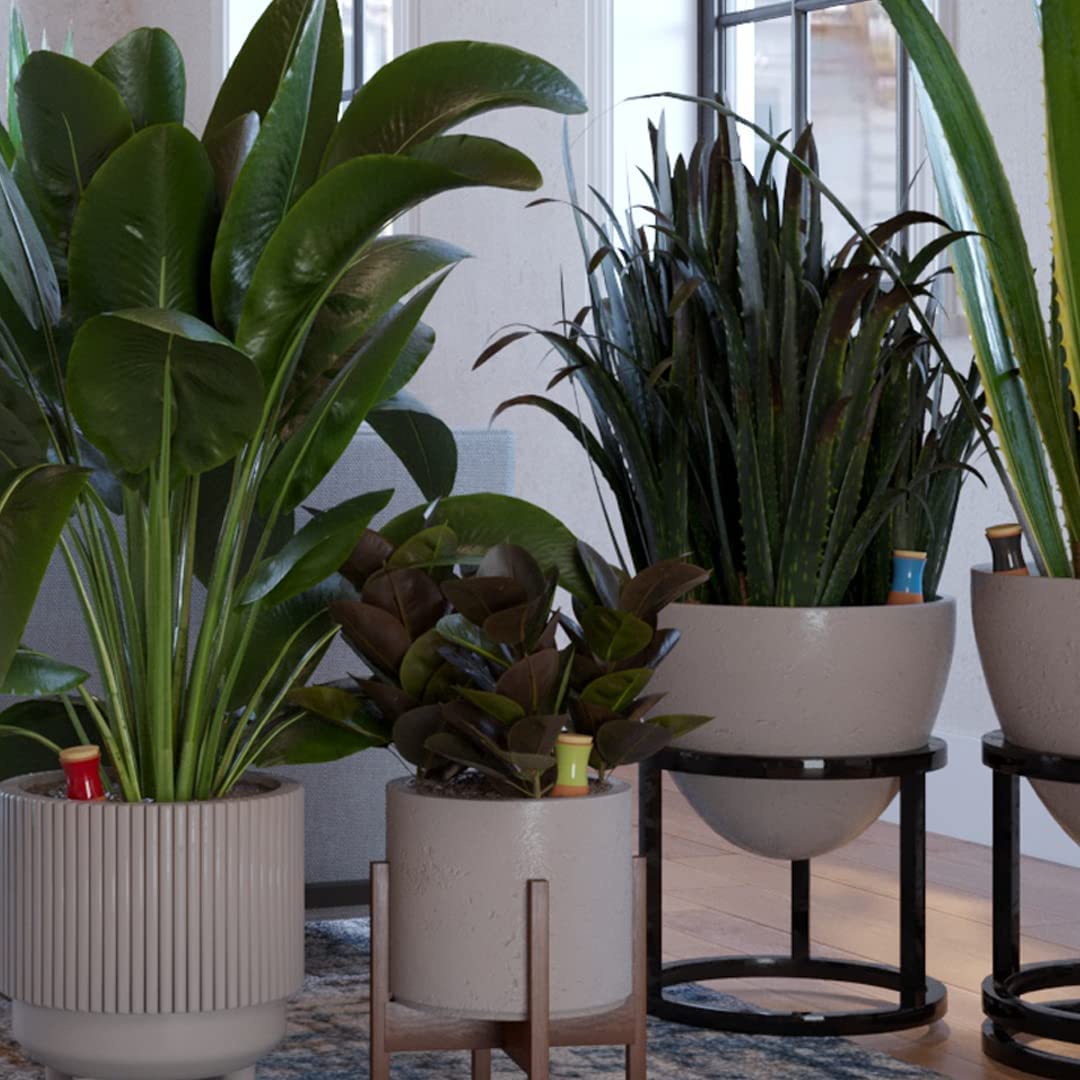 SmartiLiving self-watering for indoor plants