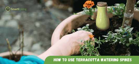 How to Use Terracotta Watering Spikes for Thriving Plants: A SmartiLiving Guide