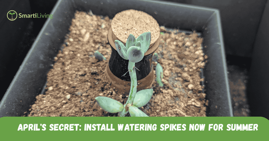 Why April is the Perfect Time to Install Outdoor Watering Spikes - Smartiliving