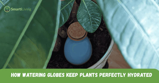 April's Garden Secret Self watering system - Smartiliving
