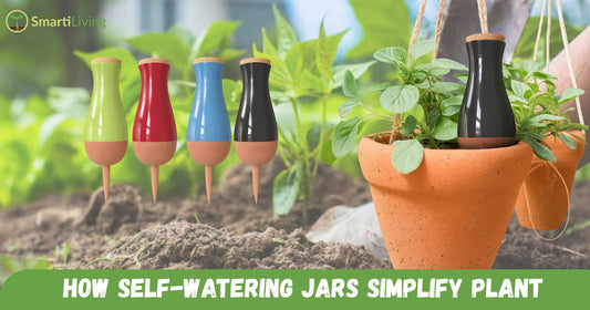 Automatic Plant Watering: How Self-Watering Jars Simplify Plant Care - SmartiLiving