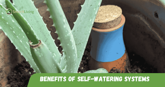 Benefits of Self-Watering Systems - SmartiLiving 