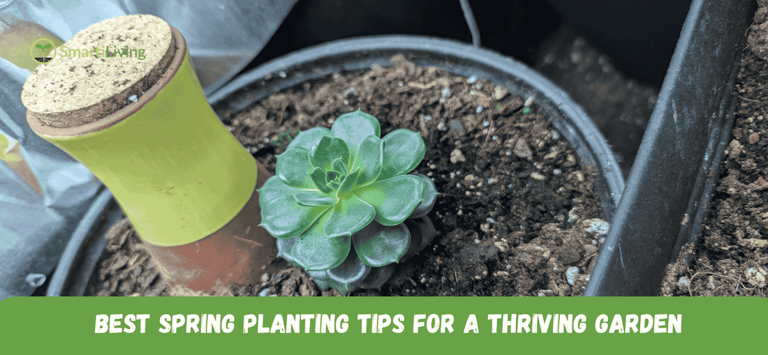 terracotta watering spikes in the garden - SmartiLiving