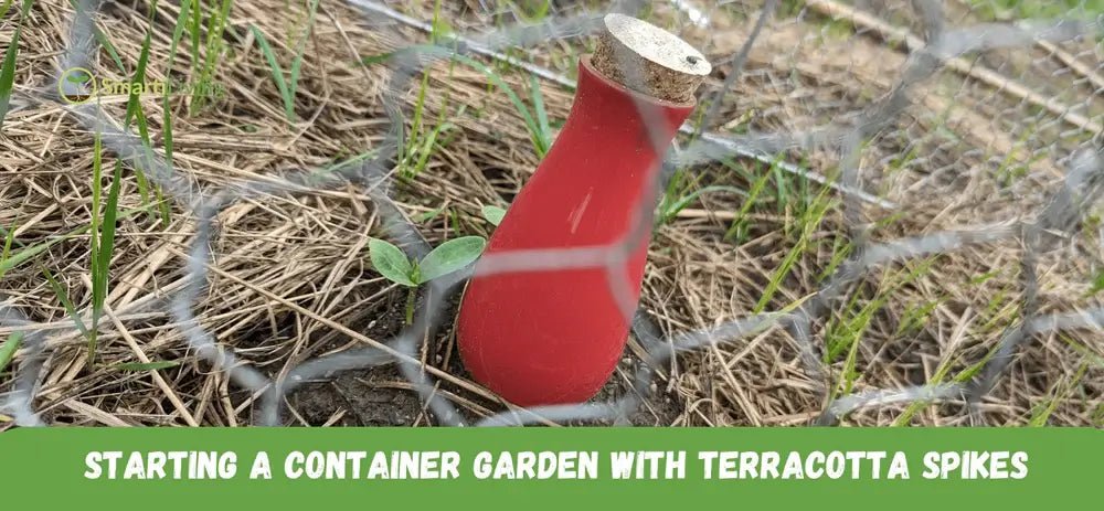 Terracotta Spikes Are Ideal for Container Gardens - SmartiLiving