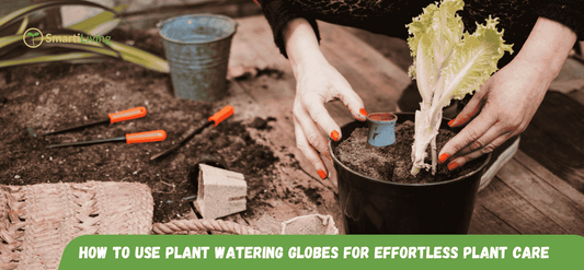 How to Use Plant Watering Globes for Effortless Plant Care - SmartiLiving