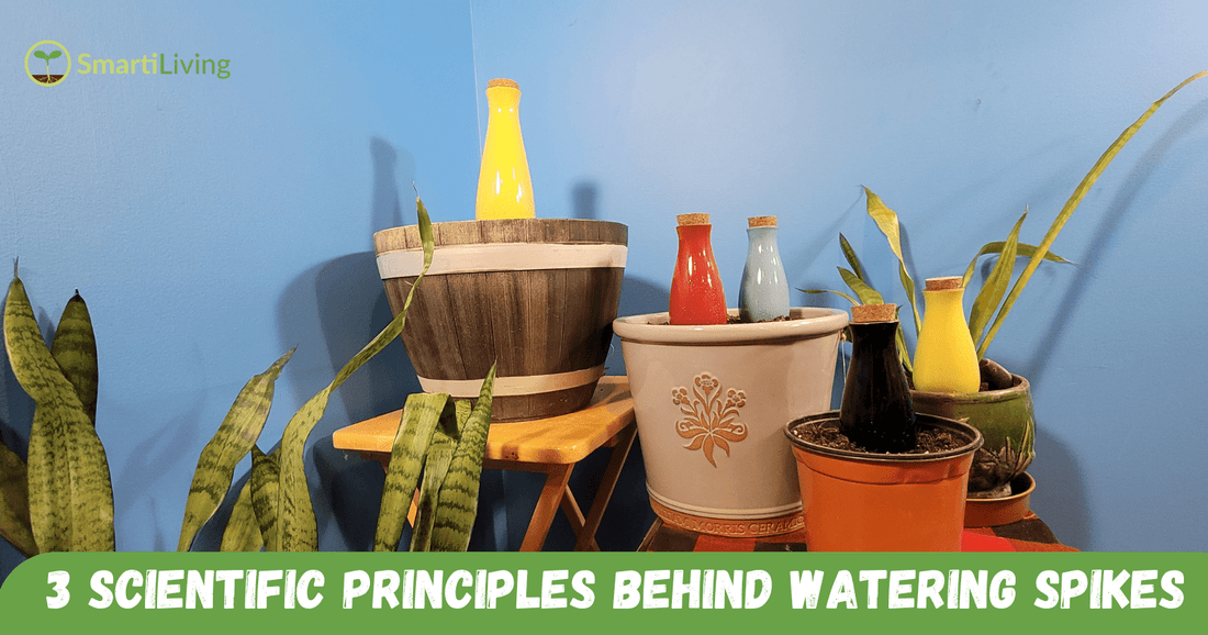 3 Scientific Principles Behind Watering Spikes - SmartiLiving